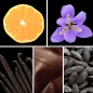 Preview: Duftnoten: Mandarine, Iris, Vanille, Leder, Tonkabohne Preview: Duftnoten: Mandarine, Iris, Vanille, Leder, Tonkabohne