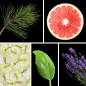 Preview: Duftnoten: Kiefernnadel, Blutorange, Apfel, Basilikum, Lavendel