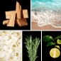 Preview: Duftnoten: Zedernholz, aquatische Noten, Jasmin, Rosmarin, Bergamotte