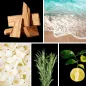 Preview: Duftnoten: Zedernholz, aquatische Noten, Jasmin, Rosmarin, Bergamotte Preview: Duftnoten: Zedernholz, aquatische Noten, Jasmin, Rosmarin, Bergamotte