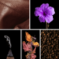 Preview: Duftnoten: Leder, Veilchen, Weihrauch, Patchouli, schwarzer Pfeffer