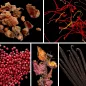 Preview: Duftnoten: Myrrhe, Safran, rosa Pfeffer, Patchouli, Vanille Preview: Duftnoten: Myrrhe, Safran, rosa Pfeffer, Patchouli, Vanille