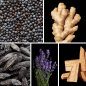 Preview: Duftnoten: Wacholder, Ingwer, Tonkabohne; Lavendel, Zedernholz