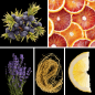 Preview: Duftnoten: Wacholderbeeren, Blutorange, Lavendel, Vetiver, sizilianischer Zitrone