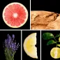 Preview: Duftnoten: Grapefruit, Zedernholz, Lavendel, Zitrone, Bergamotte