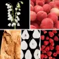 Preview: Duftnoten: Maiglöckchen, Pfirsich, Sandelholz, Birne, Himbeere Preview: Duftnoten: Maiglöckchen, Pfirsich, Sandelholz, Birne, Himbeere