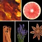 Preview: Duftnoten: Amber, Grapefruit, Zimt, Lavendel, Sternanis Preview: Duftnoten: Amber, Grapefruit, Zimt, Lavendel, Sternanis