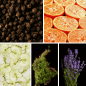 Preview: Duftnoten: schwarzer Pfeffer, Mandarine, Apfel, Moos, Lavendel