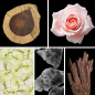 Preview: Duftnoten: Rosenholz, Rose, Apfel, Moschus, Oud