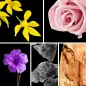Preview: Duftnoten: Yang-Ylang, Rose, Veilchenblatt, Moschus, holzige Noten Preview: Duftnoten: Yang-Ylang, Rose, Veilchenblatt, Moschus, holzige Noten