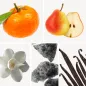 Preview: Duftnoten: Mandarine, Birne, Magnolie, Moschus, Vanille Preview: Duftnoten: Mandarine, Birne, Magnolie, Moschus, Vanille