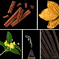 Preview: Duftnoten: Zimt, Tabak, Osmanthus, Weihrauch, Vanille