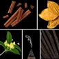 Preview: Duftnoten: Zimt, Tabak, Osmanthus, Weihrauch, Vanille