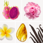Preview: Duftnoten: Drachenfrucht, Pfingsrose, Frangipani, Amber, Vanille