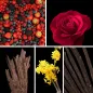 Preview: Duftnoten: rote Beeren, Rose, Oud, Osmanthus, Vanille Preview: Duftnoten: rote Beeren, Rose, Oud, Osmanthus, Vanille