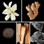Preview: Duftnoten: Neroli, Ingwer, schwarzer Tee, Zedernholz, Moschus Preview: Duftnoten: Neroli, Ingwer, schwarzer Tee, Zedernholz, Moschus
