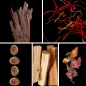 Preview: Duftnoten: Oud, Safran, Muskat, Zedernholz, Patschuli Preview: Duftnoten: Oud, Safran, Muskat, Zedernholz, Patschuli