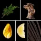 Preview: Duftnoten: Zypresse, Eichenholz, Amber, Zitrone, Vanille Preview: Duftnoten: Zypresse, Eichenholz, Amber, Zitrone, Vanille
