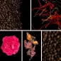Preview: Duftnoten: Kaffee, Safran, Damaszenerrose, Patchouli, Pfeffer Preview: Duftnoten: Kaffee, Safran, Damaszenerrose, Patchouli, Pfeffer