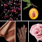 Preview: Duftnoten: Kirsche, Pflaume, Leder, Oud, Rose