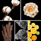 Preview: Duftnoten: Baumwollblüten, Rose, Oud, Moschus, Zitrusnoten