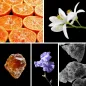 Preview: Duftnoten: Mandarine, Orangenblüte, Benzoeharz, Iris, Moschus