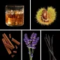 Preview: Duftnoten: Rum-Akkord, Kastanie, Zimt, Lavendel, Vanille