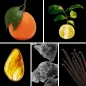 Preview: Duftnoten: Orange, Bergamotte, Amber, Moschus, Vanille