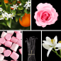 Preview: Duftnoten: Orangenblüte, Rose, Marshmellow-Note, Vanille, Neroli