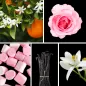 Preview: Duftnoten: Orangenblüte, Rose, Marshmellow-Note, Vanille, Neroli Preview: Duftnoten: Orangenblüte, Rose, Marshmellow-Note, Vanille, Neroli