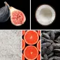 Preview: Duftnoten. Feige, Kokosnuss, salzige Akkorde, Grapefruit, Tonkabohne Preview: Duftnoten. Feige, Kokosnuss, salzige Akkorde, Grapefruit, Tonkabohne