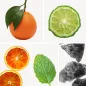 Preview: Duftnoten: Mandarine, Bergamotte, Blutorange,Minze, Moschus Preview: Duftnoten: Mandarine, Bergamotte, Blutorange,Minze, Moschus