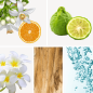 Preview: Duftnoten: Orangenblüte, Bergamotte, Jasmin, Sandelholz, Aldehyde