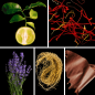 Preview: Duftnoten: Bergamotte, Safran, Lavendel, Vetiver, Leder