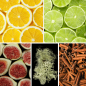 Preview: Duftnoten des Profumo D’oro Unisex-Parfums mit Zitrone, Bergamotte, Limette, Rose, Feige, Jasmin, Ylang-Ylang, Oud, Safran, Zimt, Patchouli, Sandelholz, Benzoe, Ambra und Moschus