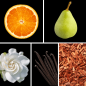 Preview: Duftnoten: Orange, Birne, Vanille, Sandelholz, Gardenie