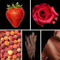 Preview: Duftnoten: Erdbeere, Rose, Pfirsich, Oud, Leder
