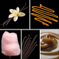Preview: Duftnoten: Vanilleblüte, Dulce de Leche, Zuckerwatte, Vanille, Karamell
