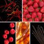 Preview: Duftnoten:Safran, Himbeere, Erdbeere, Vanille; Amber