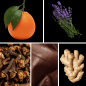 Preview: Duftnoten: Mandarine, Lavendel, Nelke, Leder, Ingwer