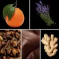 Preview: Duftnoten: Mandarine, Lavendel, Nelke, Leder, Ingwer
