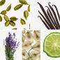 Preview: Duftnoten: Kardamom, Vanille, Lavendel, Birne, Bergamotte