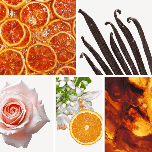 Preview: Duftnoten: kandierte Zitrusfrüchte, Vanille, Rose, Orangenblüte, Ambra