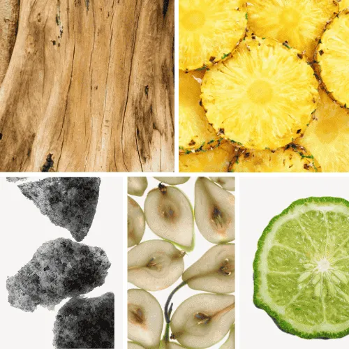 Duftnoten: Sandelholz, Ananas, Moschus, Birne, Bergamotte