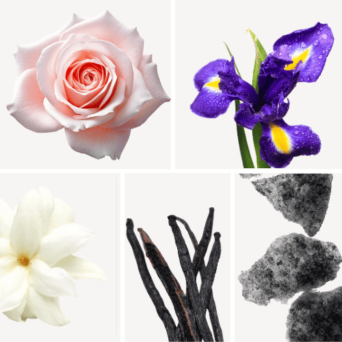 Preview: Duftnoten: Rose, Iris, Jasmin-Sambac, Vanille, jasmin