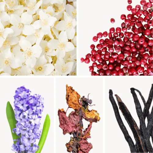 Duftnoten: Jasmin, rosa Pfeffer, Hyazinthe, Patschuli, Vanille