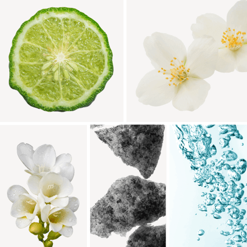 Preview: Profumo D'oro N°180 Bergamotte Jasmin Moschus Preview: Duftnoten: Bergamotte, Jasmin,  Freesie, Moschus,  Aldehyde