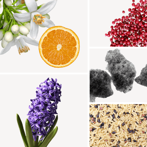 Preview: Duftnoten: Orangenblüte, rosa Pfeffer, Moschus, Reis, Hyazinte