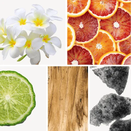 Duftnoten: Tiareblüte, Blutorange, Bergamotte, Sandelholz, Moschus