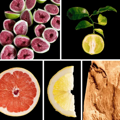 Duftnoten: Feige, Bergamotte, Grapefruit, Zitrone, Zedernholz